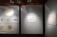 Cristina Pastó, Líquens, 2016-2018