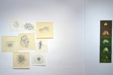 Prace Cristiny Pastó.